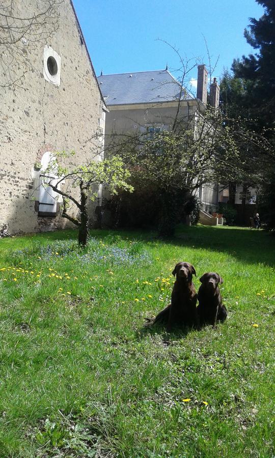 Bed and Breakfast La Sauldre Vailly-sur-Sauldre Esterno foto