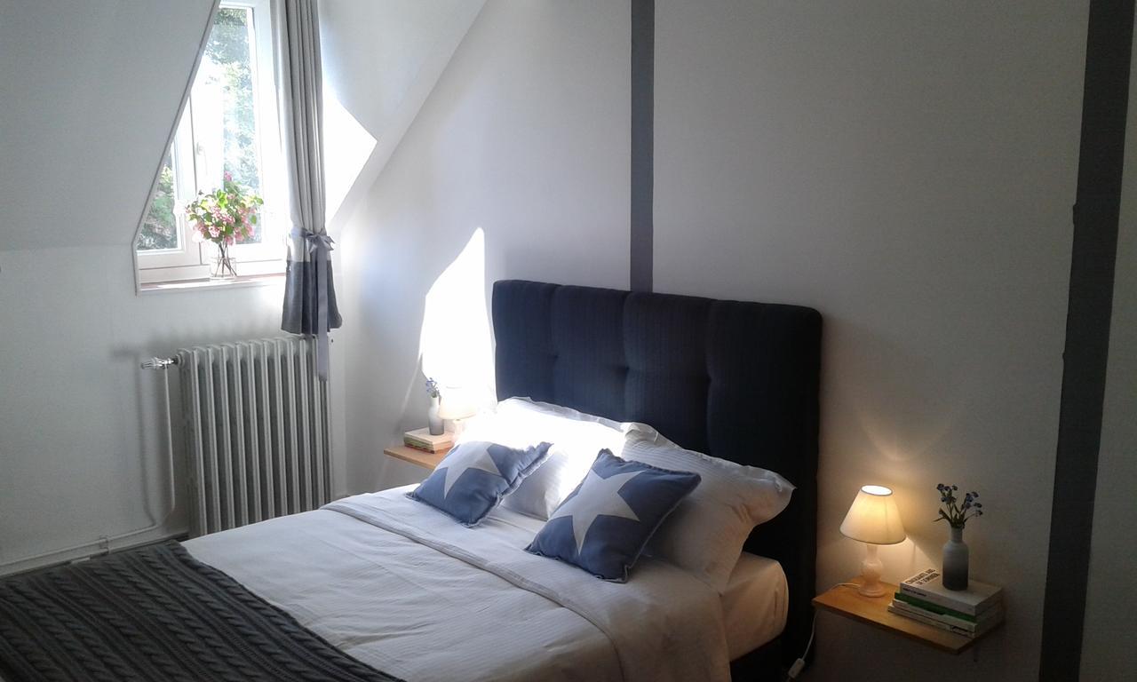 Bed and Breakfast La Sauldre Vailly-sur-Sauldre Esterno foto