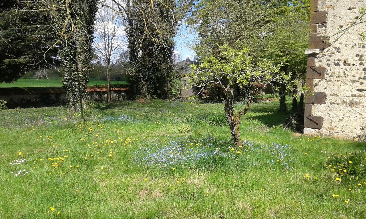 Bed and Breakfast La Sauldre Vailly-sur-Sauldre Esterno foto