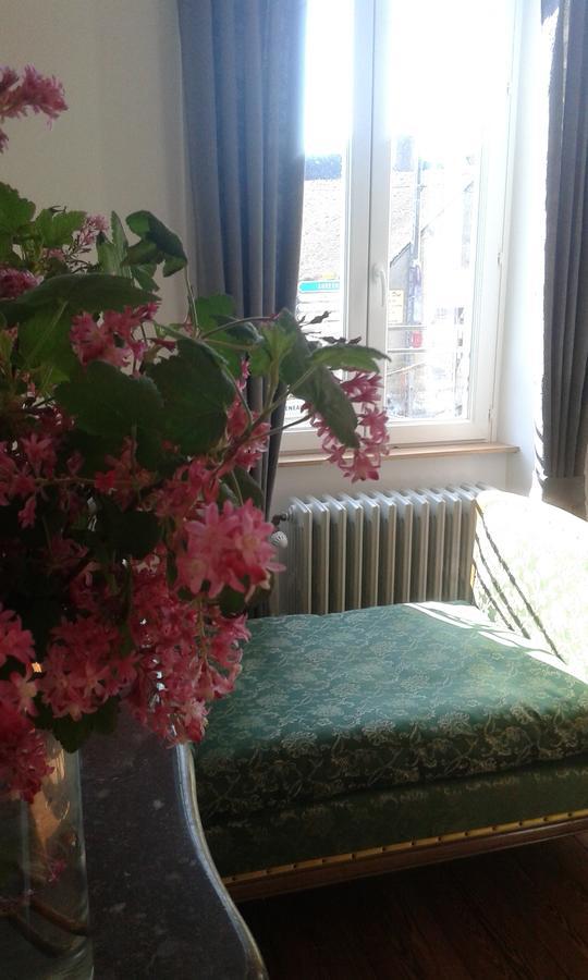 Bed and Breakfast La Sauldre Vailly-sur-Sauldre Esterno foto