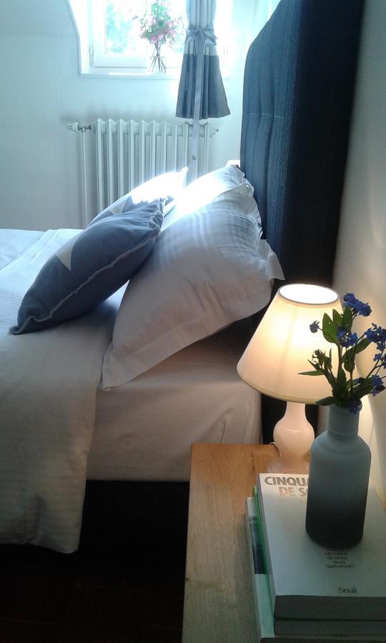 Bed and Breakfast La Sauldre Vailly-sur-Sauldre Esterno foto